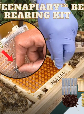 42@ 131pcs Bee Queen Rearing Cupkit Box System Beekeeping