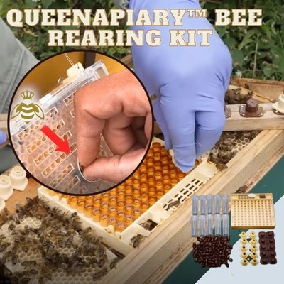 42@ 131pcs Bee Queen Rearing Cupkit Box System Beekeeping