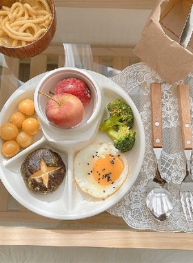 Students breakfast tray, food classification partition