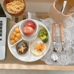 Students breakfast tray, food classification partition