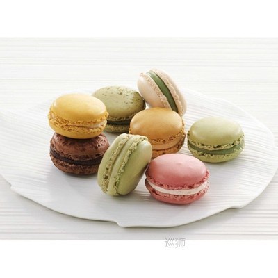 Baking mold heat resistant macarone silicone pad silicone ca