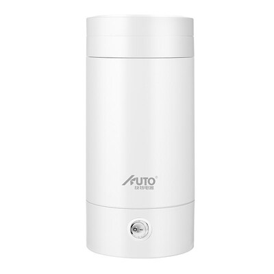 Electric hot water cup Travel electric kettle Portable small