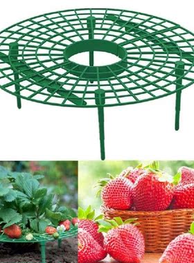 5PCS Strawberry Stand Frame Holder Balcony Planting Rack