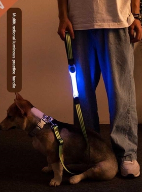 Led Dog Coll Pet Dog Traction Rope Night Dog Colls Glowi