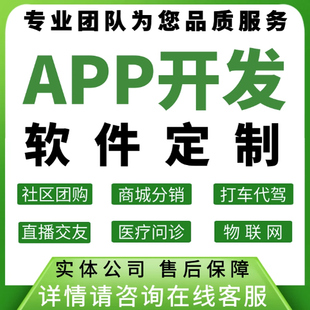 APP开发定制家政社交海外短剧语聊商城招聘小程序安卓IOS程序制作