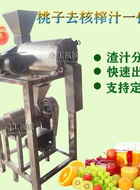 大 型生姜切碎机 不锈机钢百果打BHT浆商用水果香打浆机