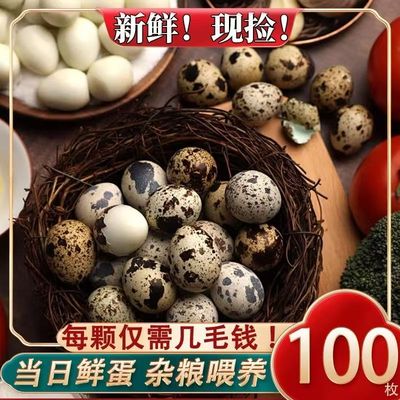 【顺丰包邮】农家自养生鹌鹑蛋70枚新鲜鹌鹑蛋自家杂粮喂养鸟蛋A