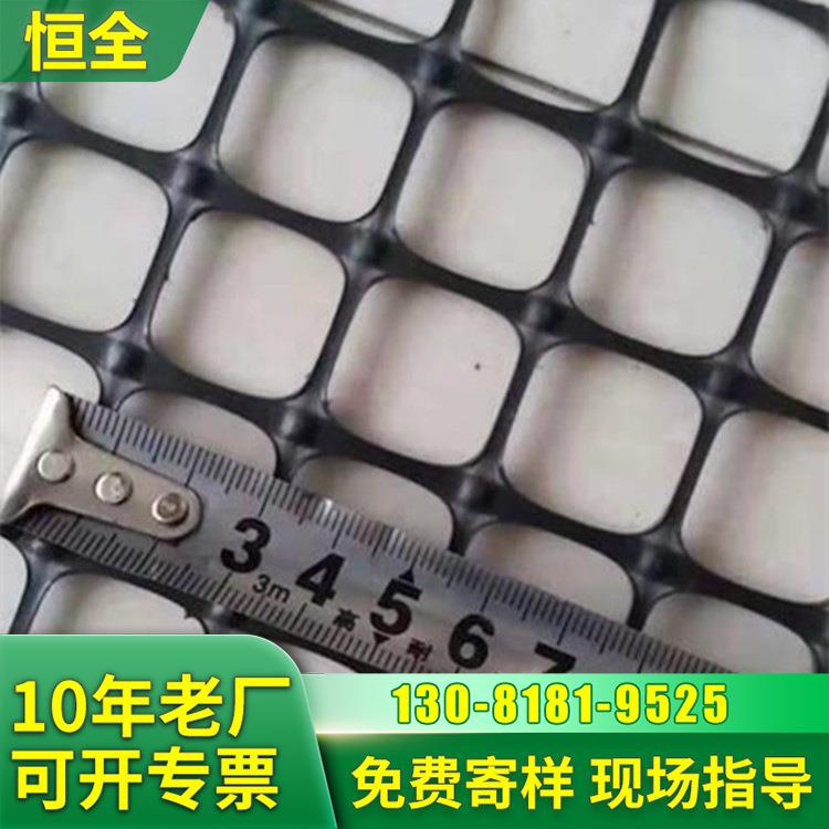 双向塑料工格栅板围ISJ网路基鸡材网养殖厂家土栏源头工程专用建