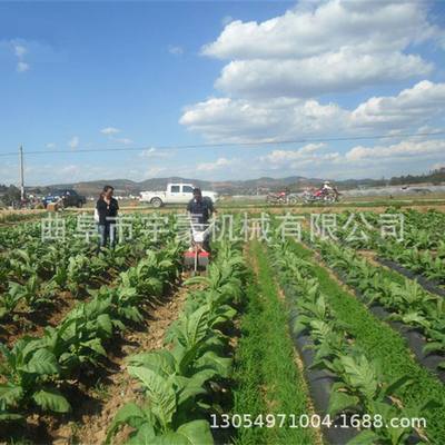 手推机式耕双齿轮旋耕 汽油果园微松 土机柴yhjx-1油四驱开沟培土