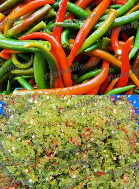 多功能打碎机 果打蔬碎机 DPQ番酱花生酱茄净打碎机 菜打碎设备