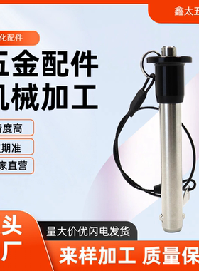 按钮式安全插销5/6/8/10/12/16 ZAA21球头锁紧销MS17984快卸销KPB