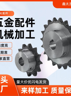 15B链轮SP15B11/12/13/14/15/16/17/18/20/24/26/28/30/33/35-P-N