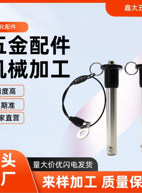 按钮式安全插销5/6/8/10/12/16 ZAA21球头锁紧销MS17984快卸销KPB