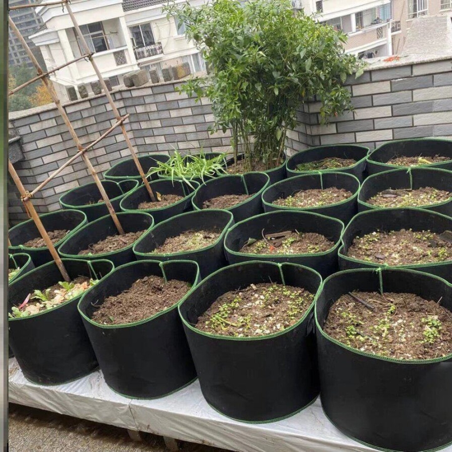 无纺布美植袋种植袋美植袋蝴蝶兰花盆家用加厚耐用种菜种花阳台盆