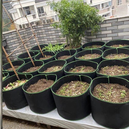 无纺布美植袋种植袋美植袋蝴蝶兰花盆家用加厚耐用种菜种花阳台盆