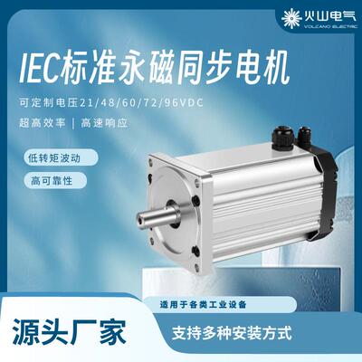 IEC永磁同步电机工厂打包机低能耗高效率0.375/0.75W
