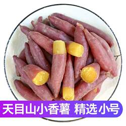 正宗临安天目山小香薯新鲜带皮金手指地瓜软糯板栗红薯农家自种