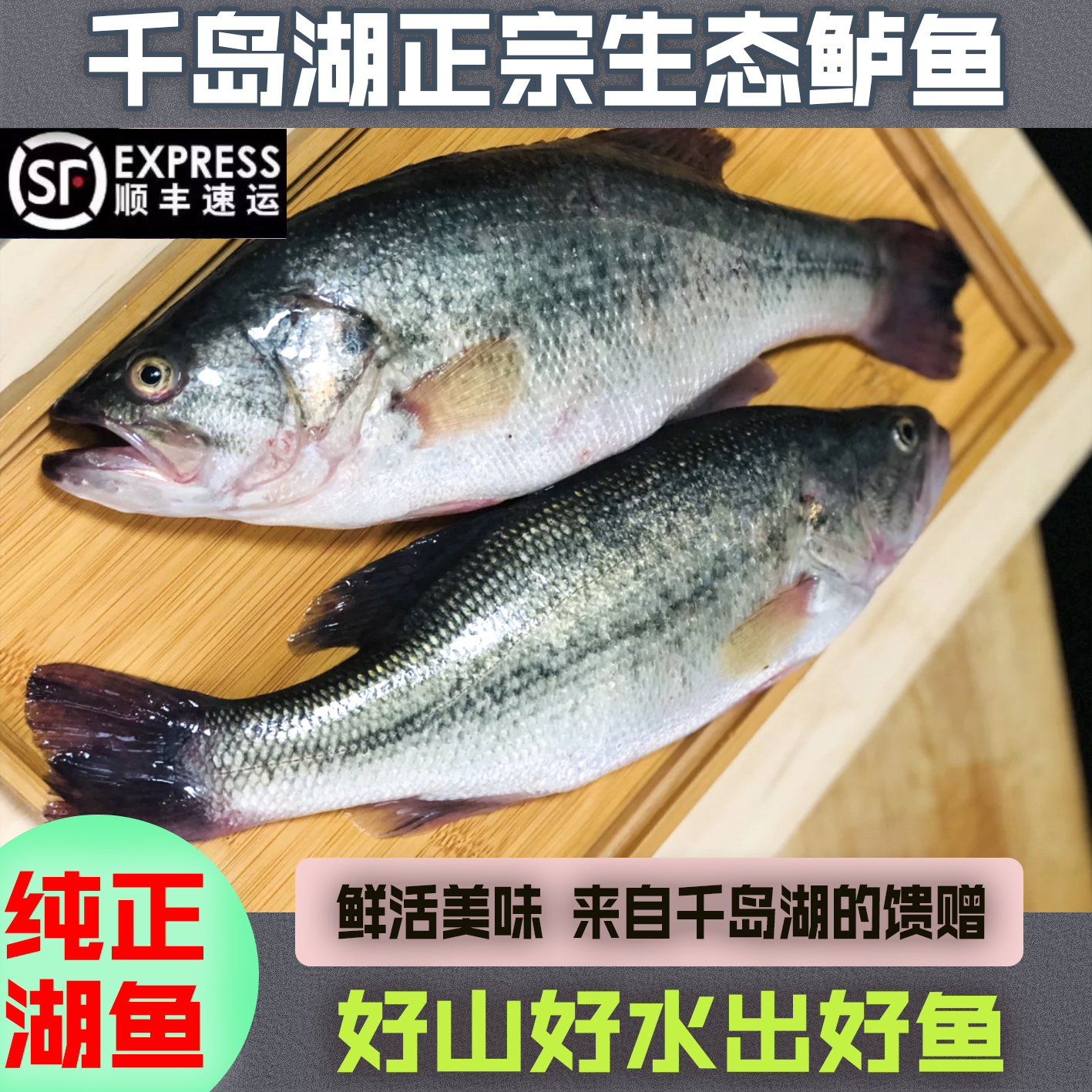 淳安千岛湖纯天然原生态淡水鲜嫩鲈鱼新鲜现捞食用非海鲈鱼不缺重