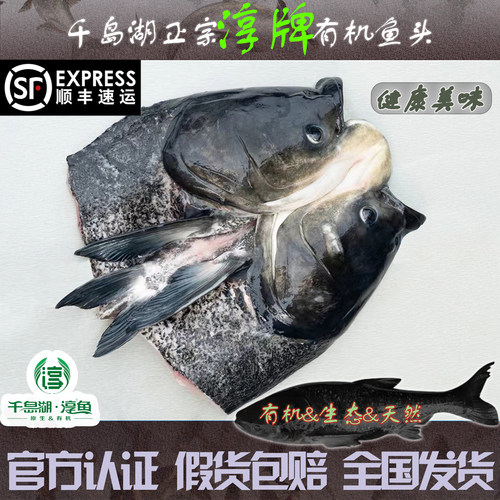 杭州千岛湖宰杀鱼头淳牌有机鱼