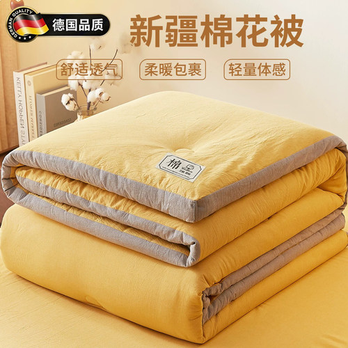 德国机洗新疆棉花被单人加厚冬被