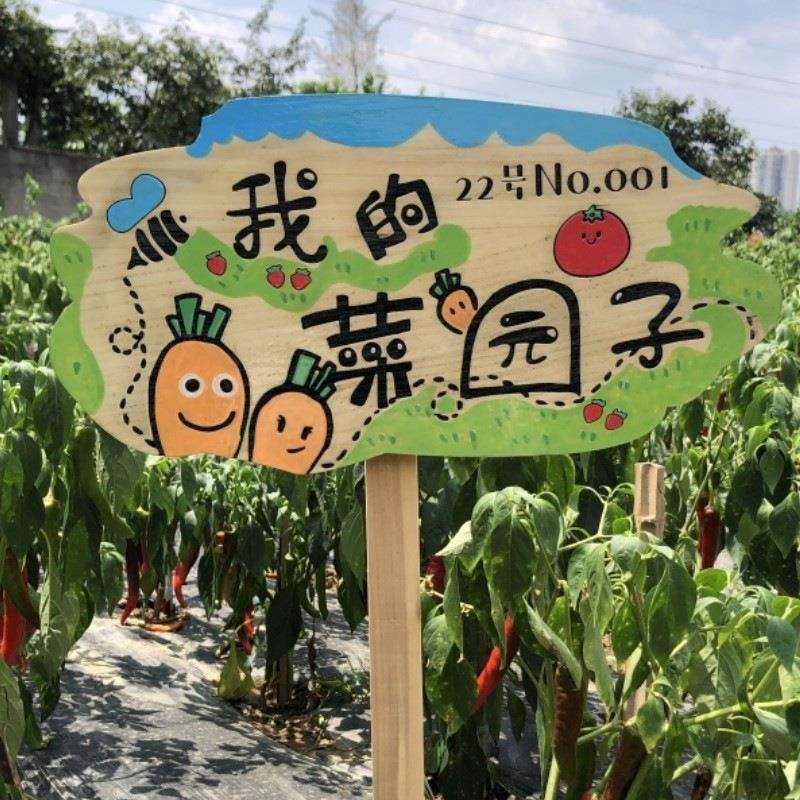 实木菜园插地标识牌户外花园装饰幼儿园班级种植区立牌指示牌定图片