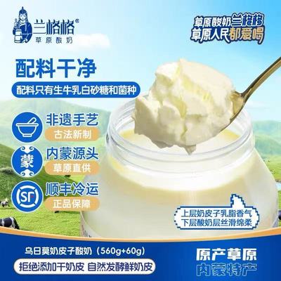 兰格格乌日莫奶皮子酸奶顺丰包邮