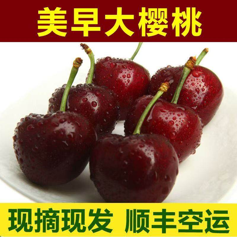 顺丰空运美早鲜樱桃现摘现发