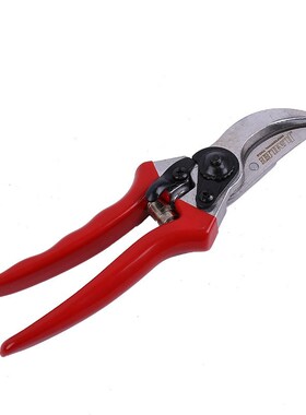 High quality 8 inch non-slip handle garden shears fruit bran