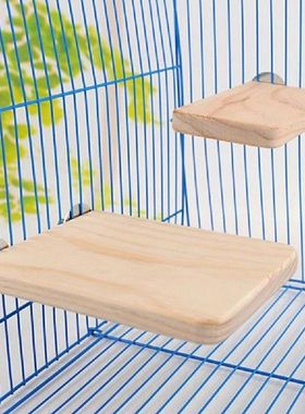 Chinchilla Hamster Springboard Squirrel Parrot Bird