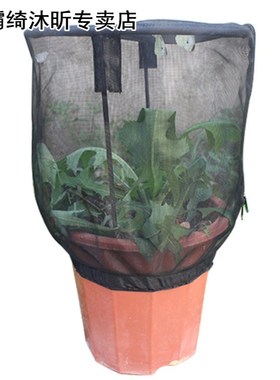 Butterfly Habitat Flower Pot Insect Feeding Net Cage Observa