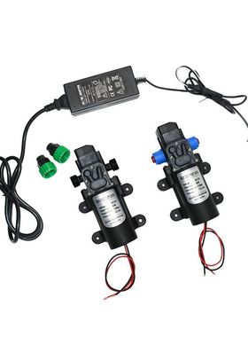 12volt high pressure water pump 60w 80w 100w Micro car wash