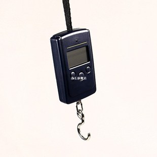 Electronic Digital Scale Luggage Weight Scale 0.01kg To 40kg