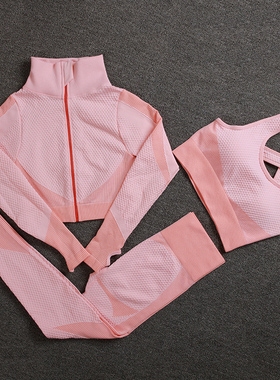 Seamless Women Yoga Sets Female Sport Gym Suits Wear Running