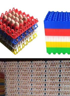 1PCS 30eggs capacity plastic layer egg tray crate box