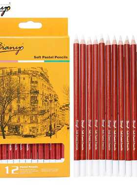 12 Pcs/Box Artist Soft Pastel Pencils Crayon Charcoal Pencil