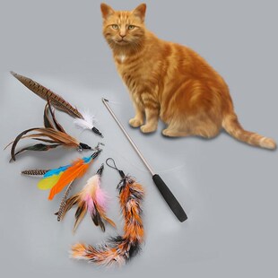 2019 Cat Toy Feather Teaser Wand Flexible Exercise Teaser Pe