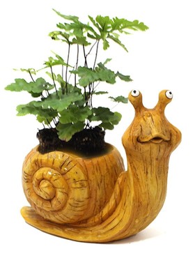 Creative Cute Snails Flowerpot Succulent Plant Poted