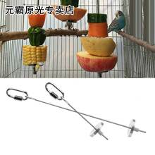 Holder Parrot Kabob Food Steel Toy Small Stic Meat Stainless