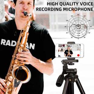 HF Saxophone Mic Wireless Microphone System on Musical Inst