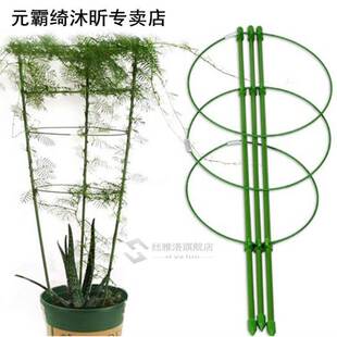 Vegetables Support Frame Gardening Tool Decorative Trellis P