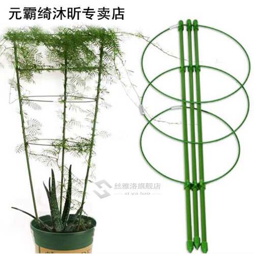 Vegetables Support Frame Gardening Tool Decorative Trellis P