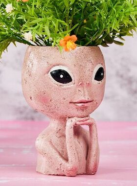 Resin Succulent Flower Pot Imitation Character Plant Flower