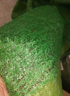 2m Green Artificial Grass Plant Floor Mat Synthetic Landscap