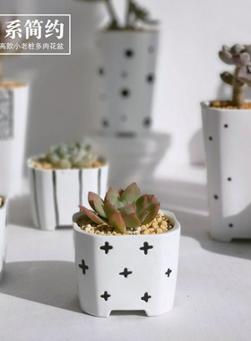 Ceramic Small Flower Pot Nordic Style Stand Indoor Square