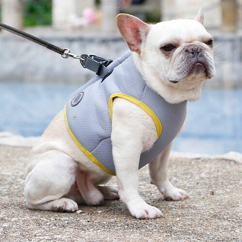 Adjustable Dog Cooling Vest Summer Dog Vest Harness Pet