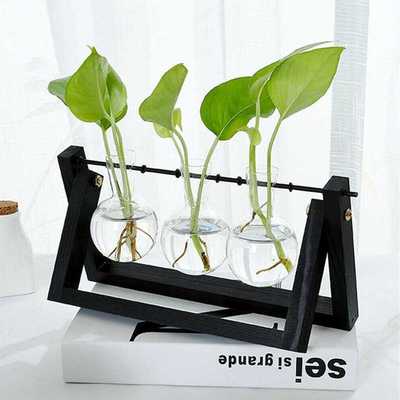 Hydroponic Glass Planter Bulb Vase with Wooden Stand Tray Ta