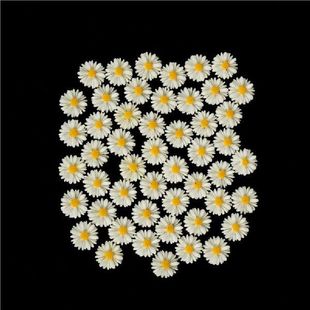 50pcs White Daisy Flower Resin Flatback Cabochon DIY