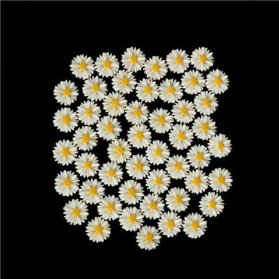 50pcs White Daisy Flower Resin Flatback Cabochon DIY