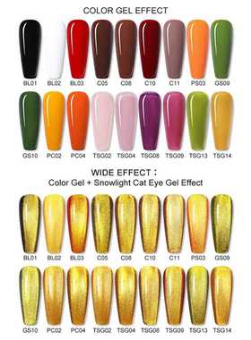 BORN PRETTY 9D Magnetic Gel Nail Polish Set Snowlight Semi-t