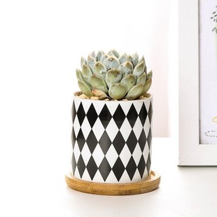 Modern Style Succulent Ceramic Flower Pot Nordic Planter Sim